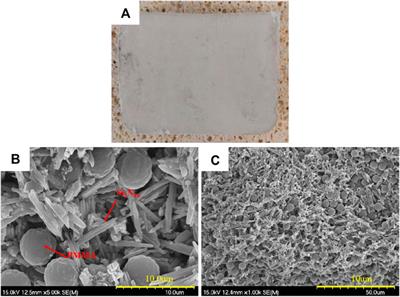 The Influence of Si3N4w Volume Fraction on the Microstructure and Properties of Si3N4w/Si3N4 Composites via CVI Technique